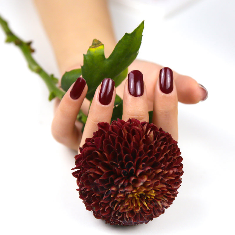 Shiraz Semi-cured Gel Nail Wrap Kit image 4