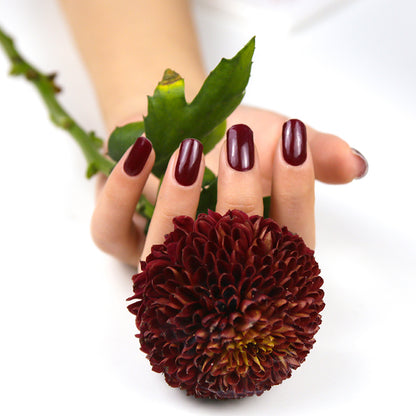 Shiraz Semi-cured Gel Nail Wrap Kit image 4